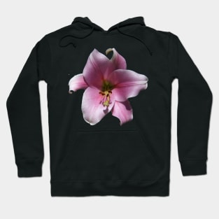 Pink Lilly by Avril Thomas Hoodie